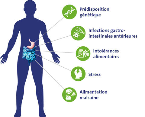 Troubles gastro-intestinaux